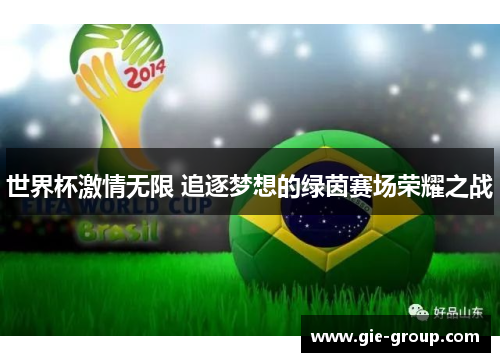 世界杯激情无限 追逐梦想的绿茵赛场荣耀之战
