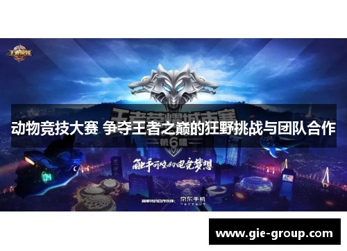 动物竞技大赛 争夺王者之巅的狂野挑战与团队合作