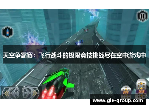 天空争霸赛：飞行战斗的极限竞技挑战尽在空中游戏中