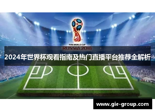 2024年世界杯观看指南及热门直播平台推荐全解析
