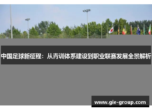 中国足球新征程：从青训体系建设到职业联赛发展全景解析