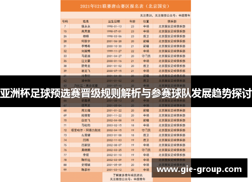 亚洲杯足球预选赛晋级规则解析与参赛球队发展趋势探讨