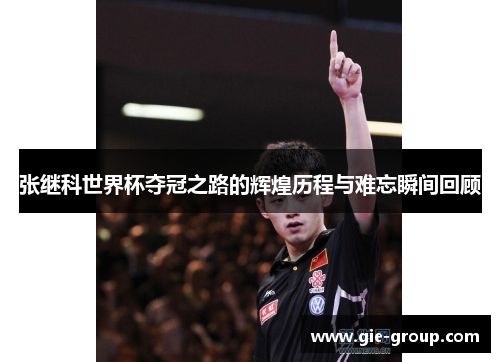张继科世界杯夺冠之路的辉煌历程与难忘瞬间回顾