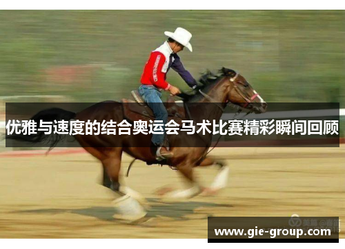 优雅与速度的结合奥运会马术比赛精彩瞬间回顾